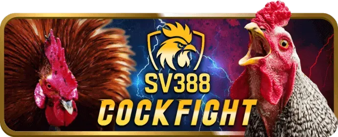 Hướng dẫn từng bước sử dụng mã ưu đãi goo88 code